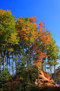 纽伦堡球星团结一致，誓夺德甲冠军！