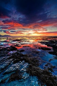 纽伦堡球星团结一致，誓夺德甲冠军！