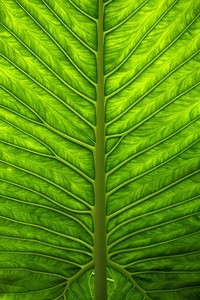 史帕罗马注定殇险，主是涕泪