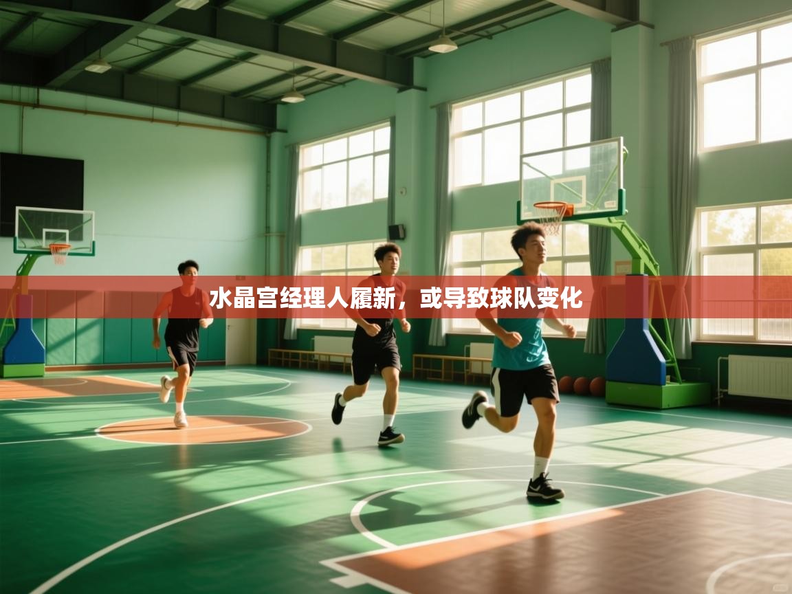 水晶宫经理人履新，或导致球队变化  第1张