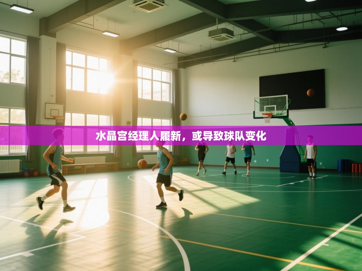 水晶宫经理人履新，或导致球队变化  第2张