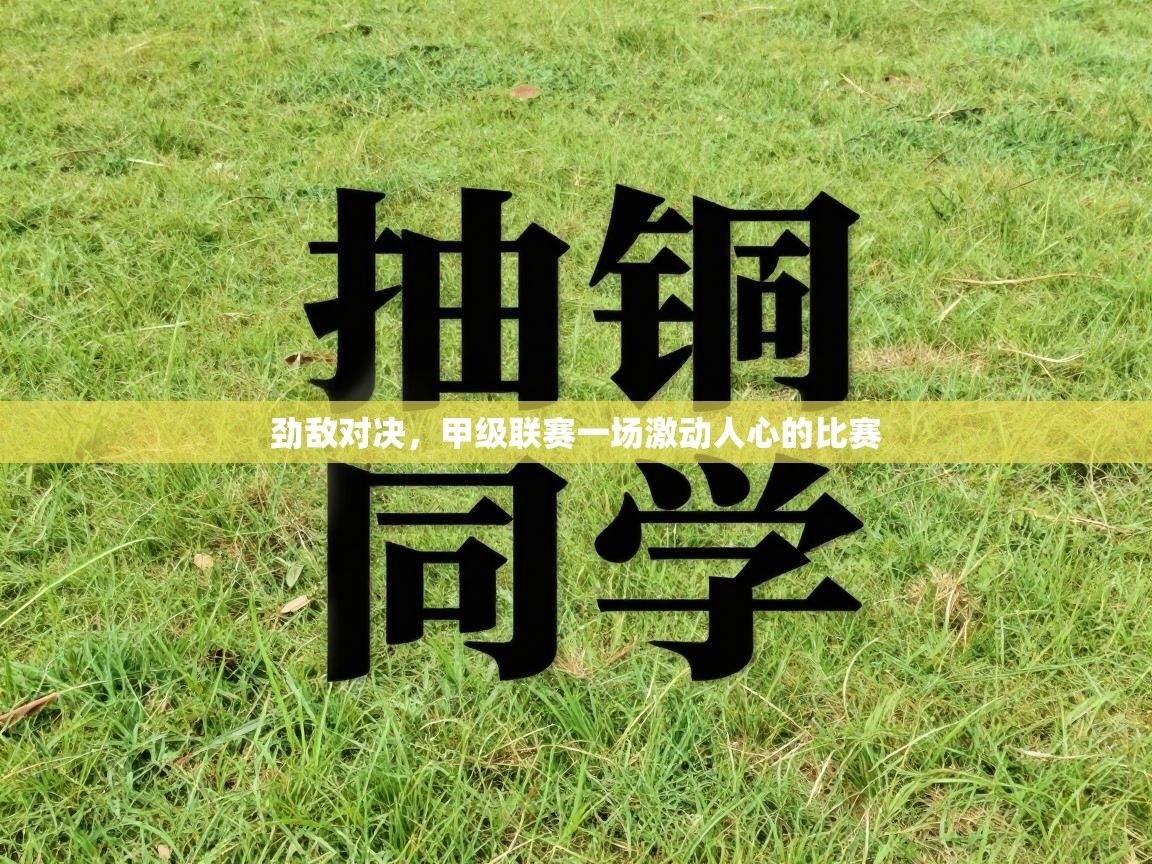 劲敌对决,甲级联赛一场激动人心的比赛 第2张