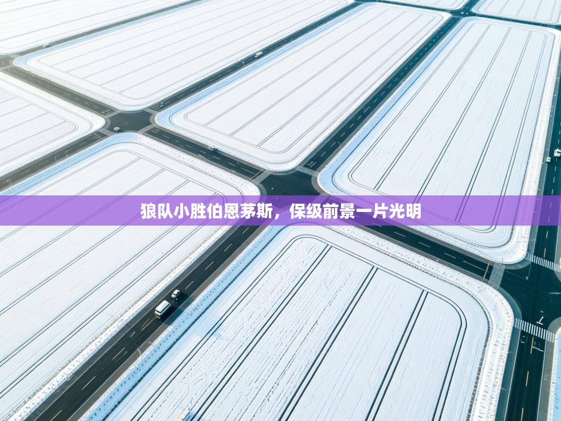 狼队小胜伯恩茅斯，保级前景一片光明  第1张