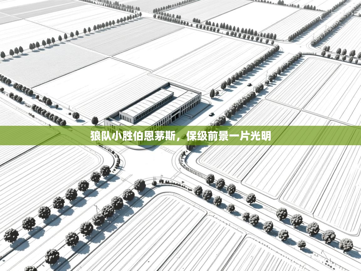 狼队小胜伯恩茅斯，保级前景一片光明  第2张