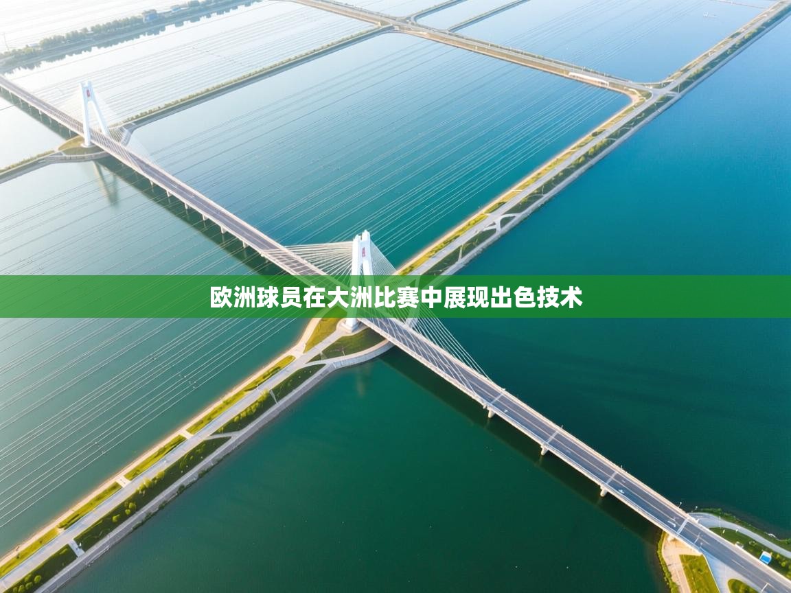 欧洲球员在大洲比赛中展现出色技术  第2张