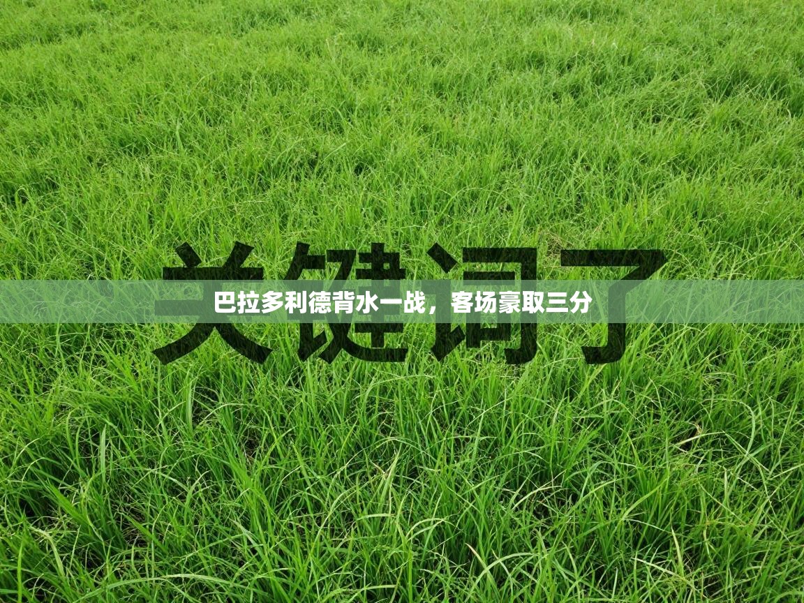 巴拉多利德背水一战，客场豪取三分  第2张